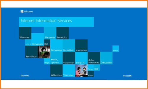 如何在Windows 10系統(tǒng)中正確安裝IIS互聯(lián)網信息服務